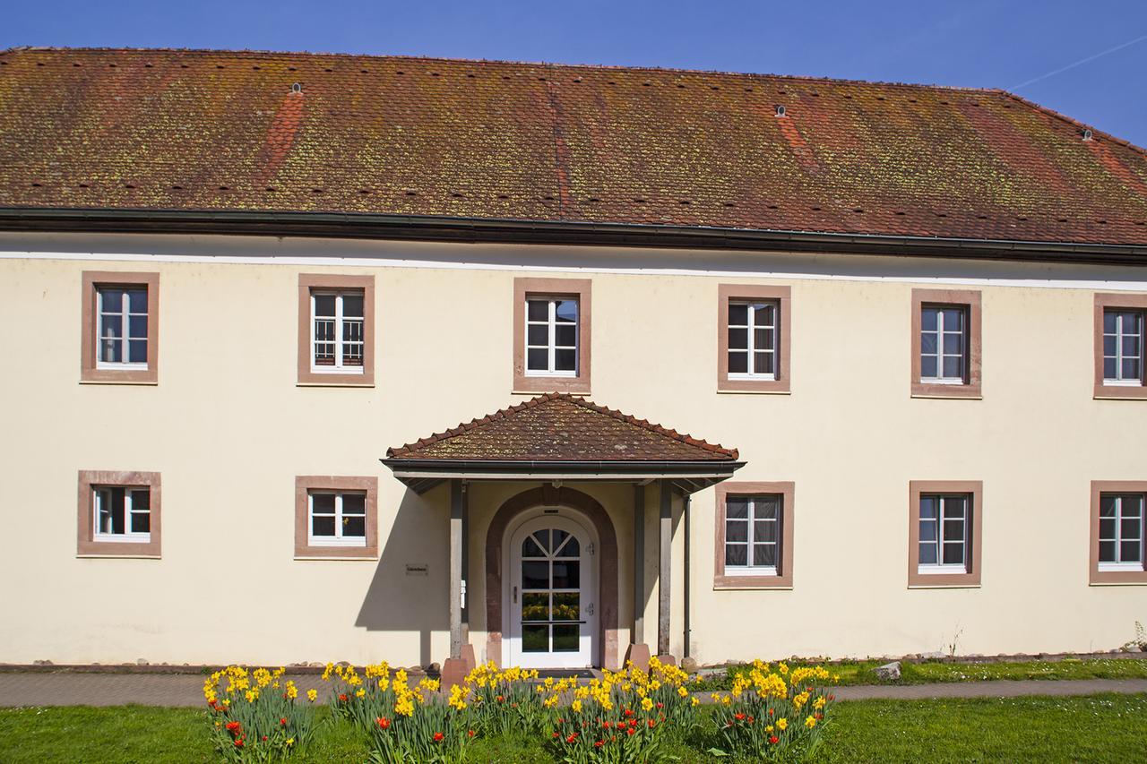 ריינפלדן Schloss Beuggen מראה חיצוני תמונה
